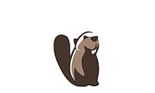 DBeaver